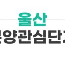 천안뫼비우스 이미지