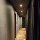 도그 앤 캣츠 이미지