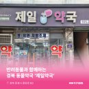경북제일약국 이미지