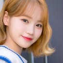 채원 - 강남구 테헤란로86길 12 | 채원