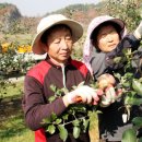 선철농장 이미지