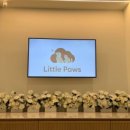 리틀포즈 반려동물 장례식장 이미지