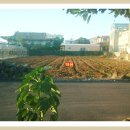 하모리-11 이미지