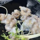 배부른식당 | 용산 술집 남돈남산으로 즐긴 회산물식당 배부른 후기~