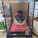 전주복집 이미지