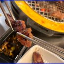 신마포갈매기 이미지