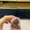 김서방떡집 | [김서방 찹쌀떡] 부산 찹쌀떡 20개 세트 가격 후기 | 전국 택배가능한 행사 답례떡 추천