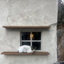 Hello Kitten 이미지