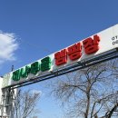 캠생아의 캠핑여행기🏕️-담양대나무골 캠핑장(먹부림 대잔치ver. 시설,주차 후기)