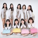 꼬메뜨포토