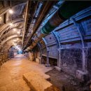 new 구글+SNS+유튜브+최신AI서비스 이미지