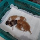 양천구청 이미지