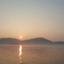 에델바이스 이미지