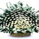 봉암동016 이미지