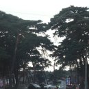 교동이용소