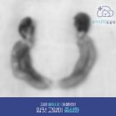 율하시티동물병원 네이버블로그
