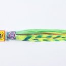 제트라인 이미지