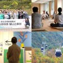 라이프투어