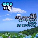 항상좋은날 이미지