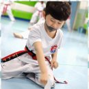 연세대태권도 - 시흥시 은계번영길 28 | 연세대태권도
