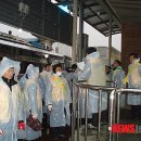주정차단속-21 이미지