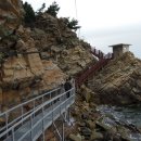 모정의 바다 이미지