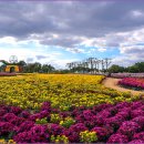 드림파크 이미지