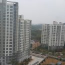 더원부동산공인중개사사무소 이미지