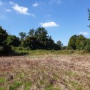 표선면 표선중학교 이미지