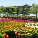 한밭수목원 이미지