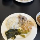 별그리다 민박 | Austria Wien 6