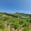 합천오토캠핑장 이미지