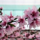 농업회사법인가온(주)