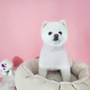 토토펫 애견미용 네이버블로그