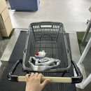 애견용품 할인매장 | 일산 모드니 그릇 아울렛 수입그릇 주방용품 할인 매장 방문 후기