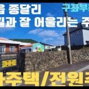 종달초등학교 이미지