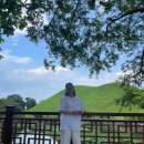 베스트웨스턴 사우나 | 경주 베스트웨스턴 플러스 감포 호텔 추천 수영장 조식