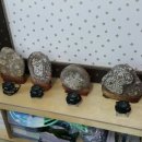 신성학습관 이미지