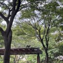 궁내다리길 이미지
