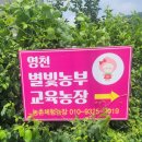 영천우리농장 이미지