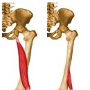 서호동-49 이미지