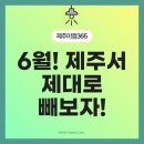 제주이엠365의원 | 제주 이엠365의원 6월 지방파괴 슬림레이저 이벤트 총정리