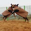 개구쟁이 이미지