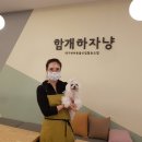 대구반려동물사업협동조합 이미지