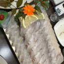 백년회로 | 경산횟집 룸식당 백년회로 경산옥산점 내돈내산 후기(주차가능)