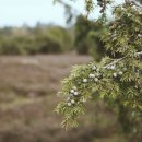 퍼니처 253 이미지