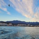 청호동 신수로 이미지