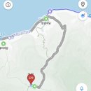 나리분지 버스정류장 | CG보다 더 선명한 채도를 자랑하는 울릉도 나리분지와 나리전망대