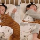 어울리개 이미지