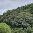 누교리 경로당 이미지